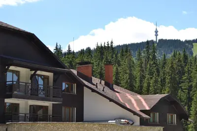 a house with a mountain in the background at Forest view in Pamporovo