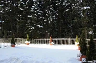 a snow covered yard with a fence and trees at Stylish one bedroomed apartment 112 in main Flora building in Borovets