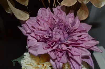a purple flower sitting on top of white flowers at Sofia's Best Kept Secret in Prime Location! in Sofia