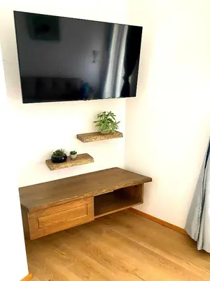 a television on a wall with two plants on it at Light One Bed Flat next to the Ski Lift in Bansko