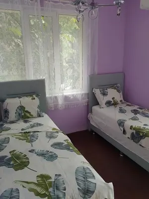 two beds in a room with purple walls and windows at Apartment Lozenetz in Sofia