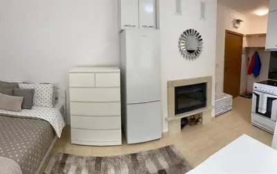 a living room with a refrigerator and a fireplace at Ski-in Ski-out Studio, Grand Monastery, Pamporovo in Pamporovo