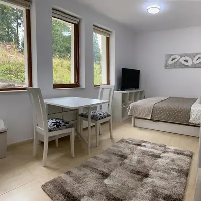Ski-in Ski-out Studio