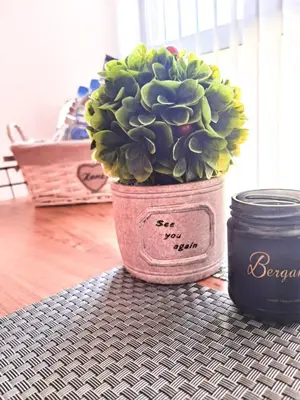 a plant in a pink pot sitting on a table at Boutique Apartment in Plovdiv