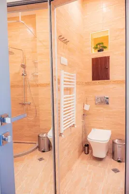a bathroom with a shower and a toilet at Pumpkin Spiced Suite with Own Parking and Office Setup in Sofia