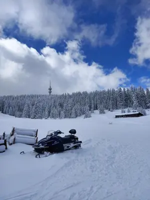 a snowmobile parked in the snow in front of trees at COZY ski-to-door apartment, Monastery 3 complex in Pamporovo