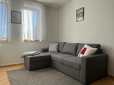 a living room with a gray couch in a room at COZY ski-to-door apartment, Monastery 3 complex in Pamporovo