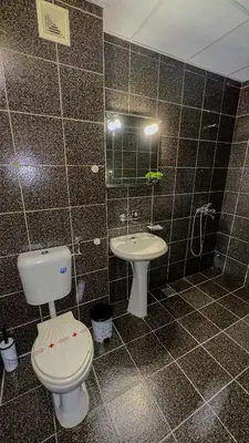 a bathroom with a toilet and a sink at Dezudava Family Hotel in Sandanski
