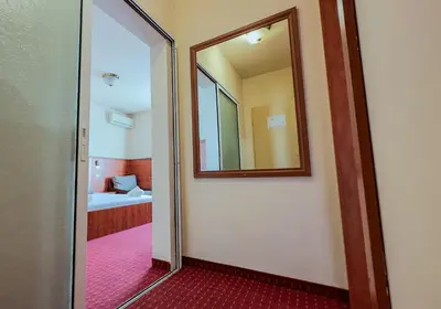 a door leading into a room with a mirror at Dezudava Family Hotel in Sandanski