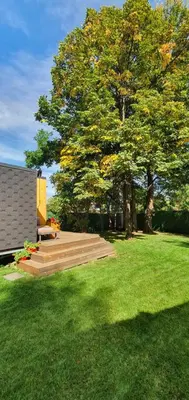 a wooden deck with a tree in a yard at Sofia Town House, FREE PARKING in Sofia