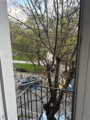 a view from a window of a tree and a street at The Heart of Old Sofia (Shipka Street 24) in Sofia
