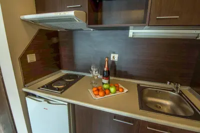 a kitchen with a sink and a bottle of wine and fruit at Banderitsa Studio Bansko 2 in Bansko