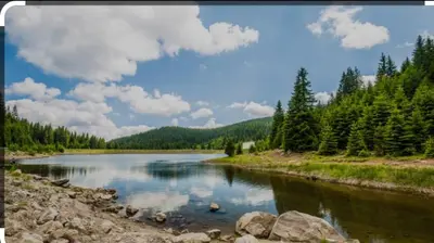 a river with trees and clouds in the sky at Snow Mountain Grand Monastery in Pamporovo