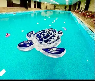 a swimming pool with a turtle in the water at Snowy tale in Pamporovo