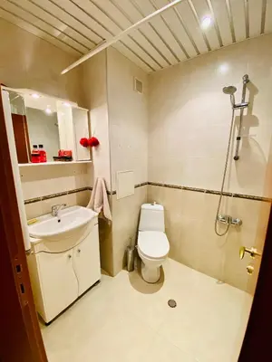 a bathroom with a toilet and a sink and a shower at Sofia Cozy Retreat in Sofia