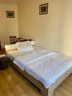 a bedroom with a large bed in a room at Sofia Cozy Retreat in Sofia