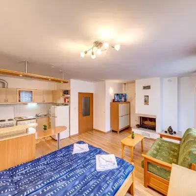 Cozy Studio in Hotel Laplandia