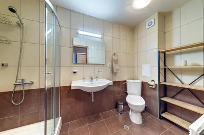 a bathroom with a toilet and a sink and a shower at Luxury Flat in Grand Resort Pamporovo by Flat Mаnager in Pamporovo