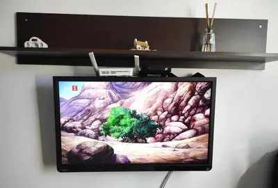 a tv on a shelf with a painting on it at Flat Cedar Lodge 2min walk to gondola in Bansko