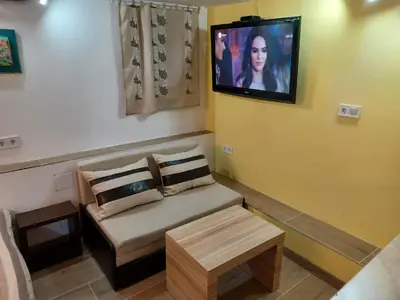 a living room with a couch and a flat screen tv at Top Center Studio 5 in Sofia