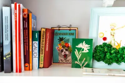 a shelf with books and a picture of a dog on it at Large Stylish 2-bedroom apt near ski road, 5 min to Gondola & Bar Street in Bansko