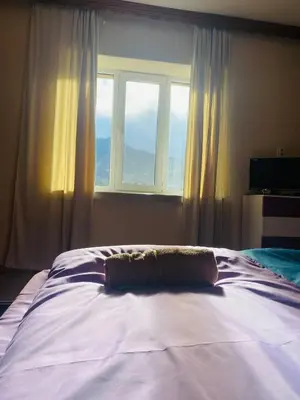 a bed with a pillow in front of a window at Апартамент за гости Байрактарова in Smolyan