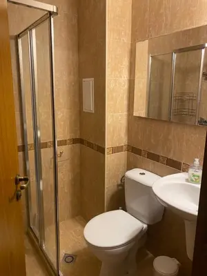 a bathroom with a toilet and a sink at Neon Gondola apartment in Bansko