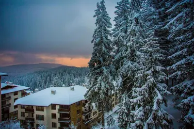 a view of a building with snow covered trees at N.Joy Holiday Apartment 413 by Sunny Hills in Pamporovo