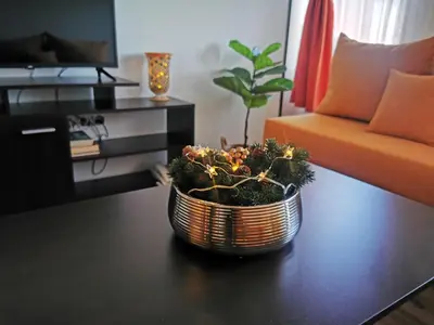 a plant sitting on a table in a living room at Private Apartments in Hotel Snezhanka in Pamporovo