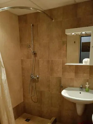 a bathroom with a shower and a sink at Ski holiday in Lucky Pamporovo in Pamporovo