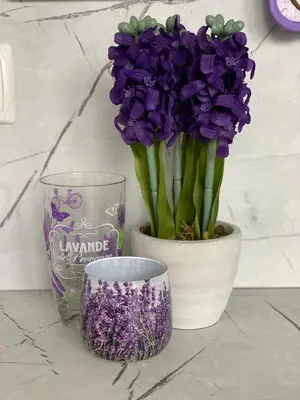 a white vase filled with purple flowers next to a glass at Къщата на Анхел in Sofia