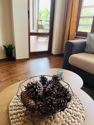 a bowl of pine cones on a table in a living room at Mountain Cedar Pine 1 BR Apt near Ski Gondola in Bansko