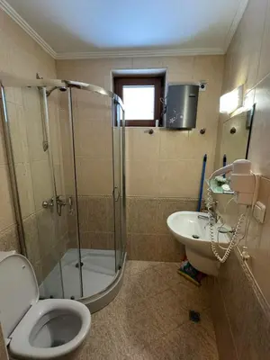 a bathroom with a shower and a toilet and a sink at Grand Monastery Private Apartment in Pamporovo in Pamporovo
