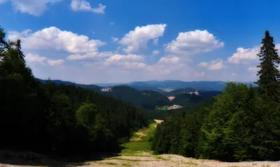 a road in the middle of a mountain with trees at Vadjo Apartments in Complex Stenata Pamporovo in Pamporovo