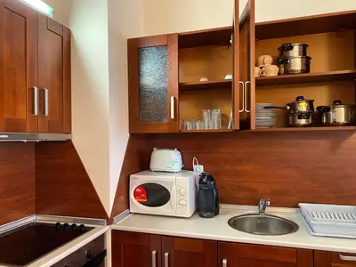 a kitchen with a sink and a microwave at Cedar Heights Cozy Apartments in Pamporovo