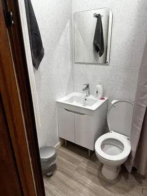 a bathroom with a white toilet and a sink at Апартамент Миели in Sofia