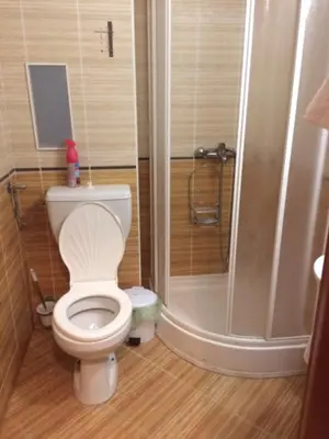 a bathroom with a toilet and a shower at Скиелит 5 in Pamporovo