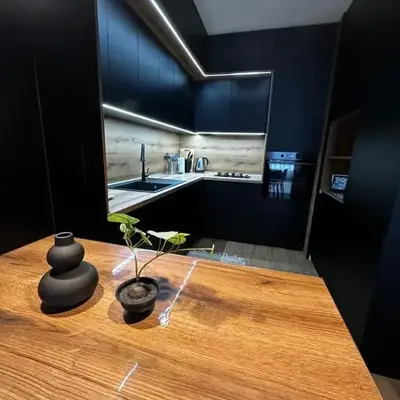1BR Modern condo near the University
