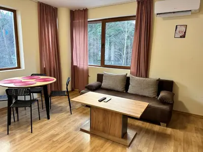 a living room with a couch and a table at Pine Tree one bedroom apartment in Bansko