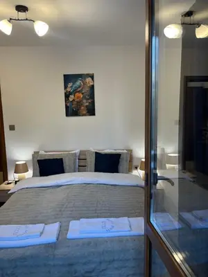 a bedroom with a large bed and a glass window at Elizi winter apartments Pamporovo in Pamporovo