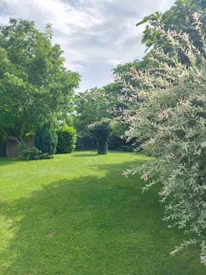 a field of green grass with trees in the background at Къща за гости Вила Смокиня град Хисаря in Hisarya