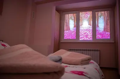 a bedroom with a window with pink flowers outside at Newly renovated 2 bedroom apartment in Sofia in Sofia