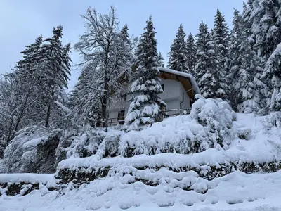 a truck covered in snow in front of trees at Villa Gusto, 3km from Pamporovo in Pamporovo