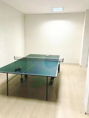 a ping pong table in a room with a ping pong racket at Predela 1 in Bansko