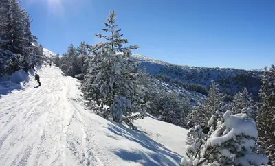 a person is skiing down a snow covered trail at Charming one bed apartment 423 in main Flora building in Borovets