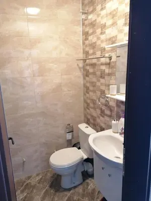 a bathroom with a toilet and a sink at Каменната къща in Borowo