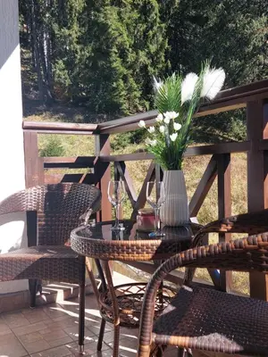 a table with chairs and a vase with flowers on it at Studio Elegance Pamporovo in Pamporovo
