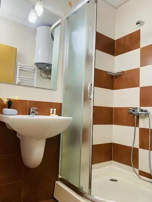 a bathroom with a sink and a shower at Studio Elegance Pamporovo in Pamporovo