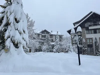 a snow covered tree in front of a building at Boro Hills in Borovets