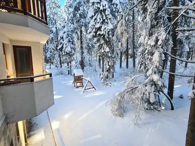 a snow covered yard with a bench in the woods at Forest Apartment/ Villa Park in Borovets
